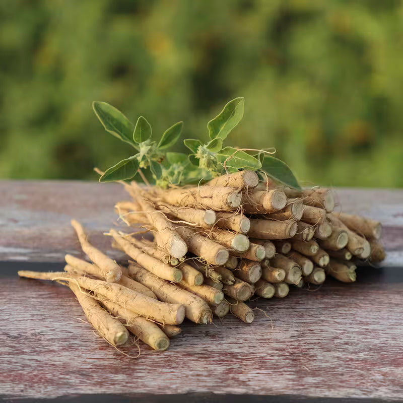 Ashwagandha